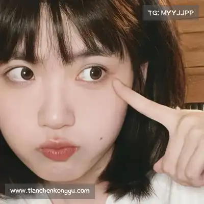 费艾贞